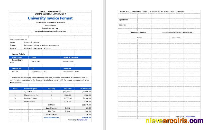 Sample University Invoice